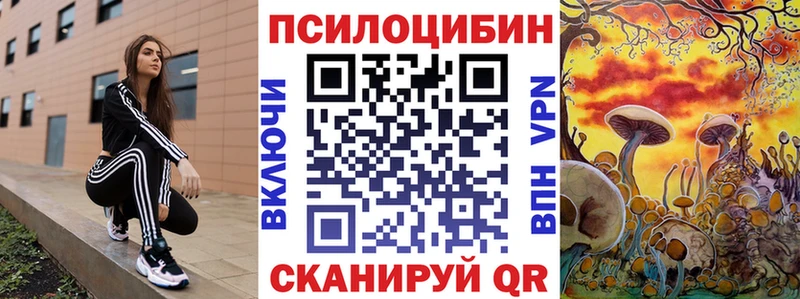хочу   Ишим  блэк спрут   Галлюциногенные грибы мицелий 